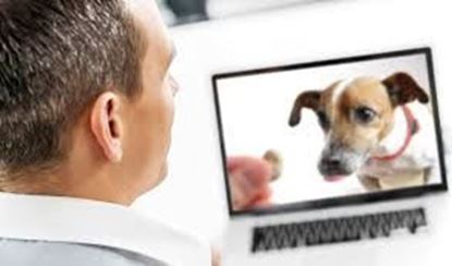 Picture of ABC Claudia, providing support under veterinary indirect supervision (charged monthly)