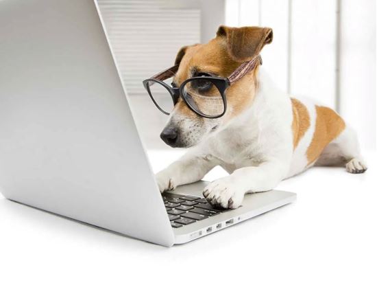 Picture of PetBehaviorHistory.com Subscription (Monthly)