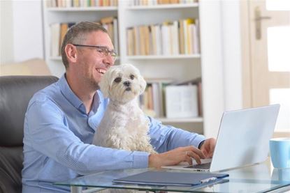 Picture of Puppy Happiness Protocol Support (Per Month after First Month)